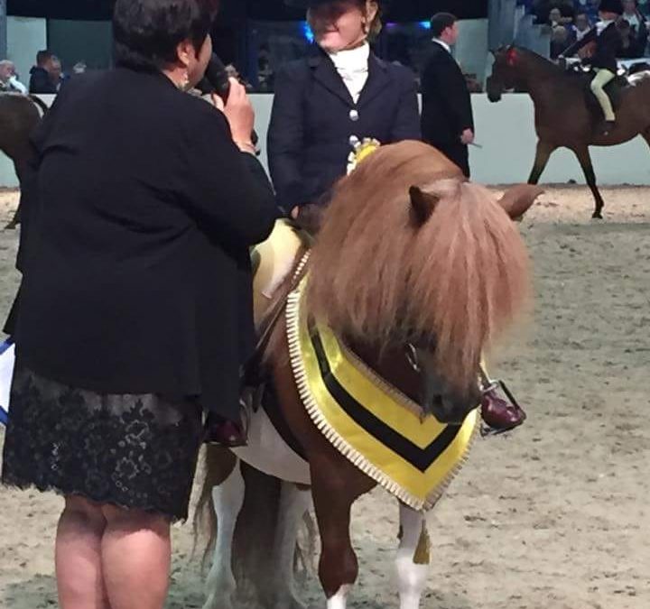 Equifest Win!
